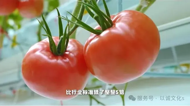 凯盛浩丰智慧农业基地 配图1