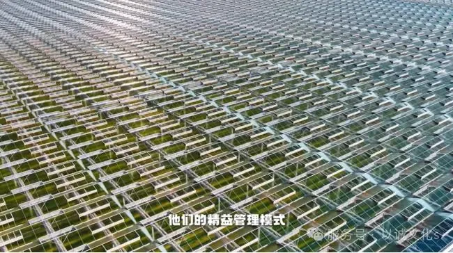 凯盛浩丰智慧农业基地 配图2